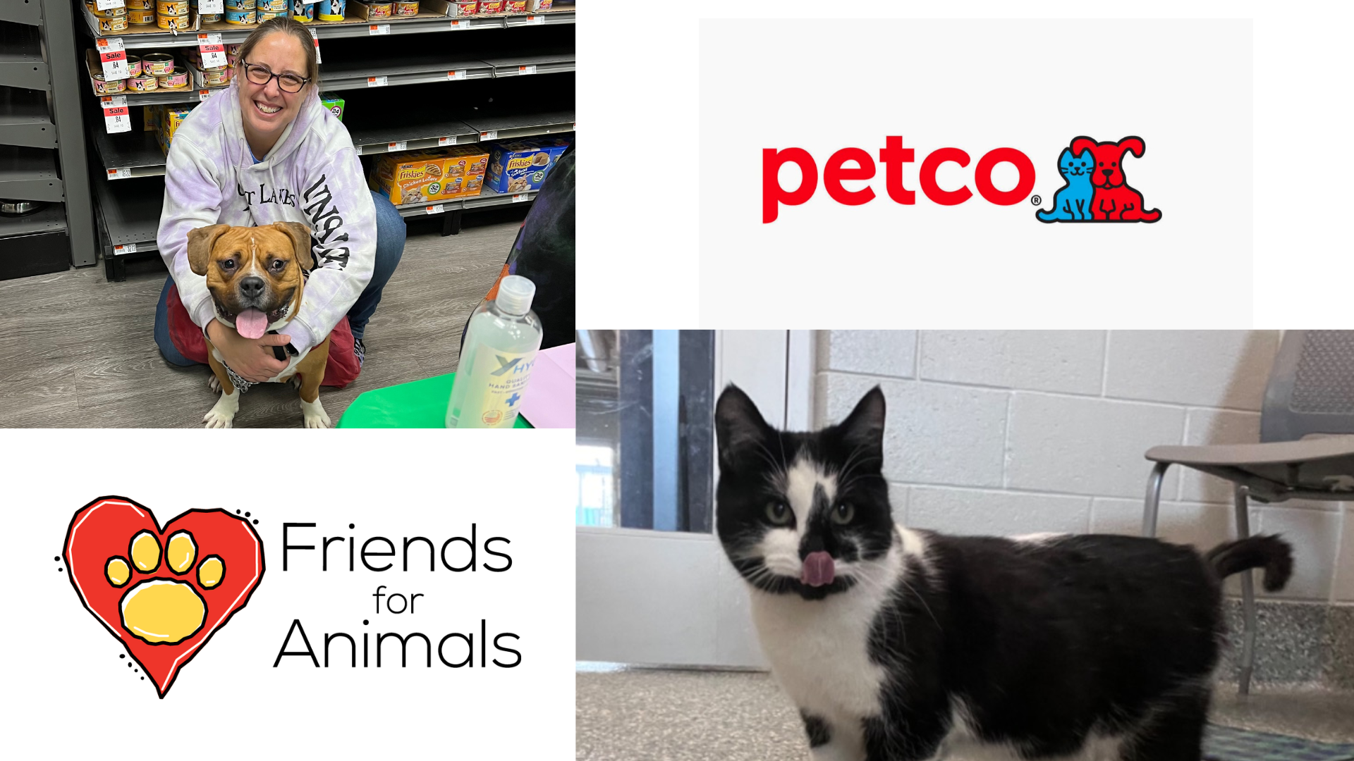 petco