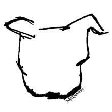 Bark Nation's Dog Head Logo