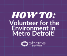 How to Volunteer for the Environment in Metro Detroit